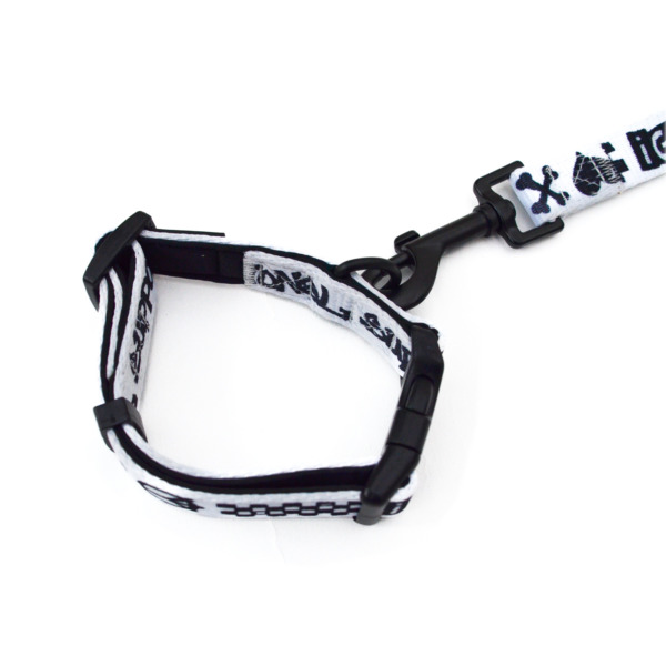 iggy /// Leash / Collar SET Small 02