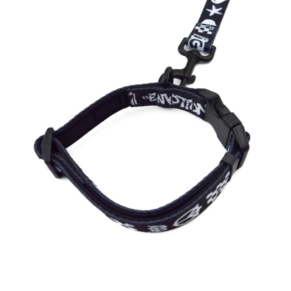 iggy /// Leash / Collar SET Large 02