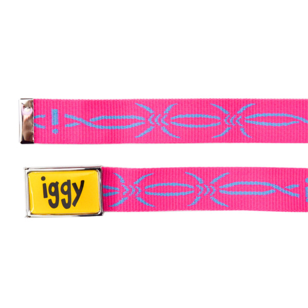 iggy /// Pink Barbed Wire Belt 02