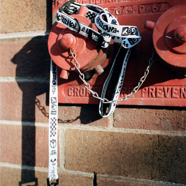 iggy /// Leash / Collar SET Small 05