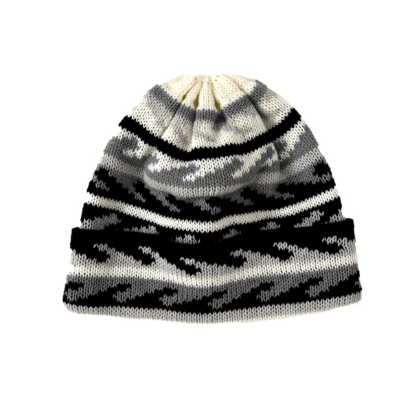 P A C S /// WAVE Beanie 04